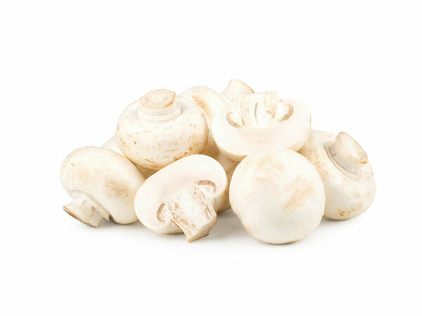 Ciuperci grill Champignon albe