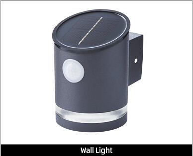 Solar Step or Wall Light