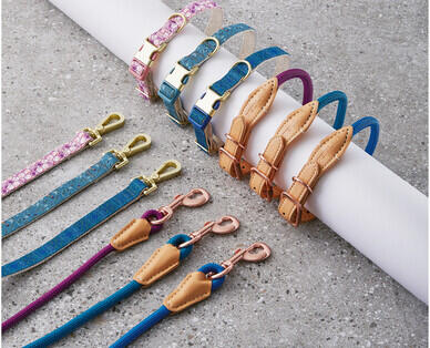 Dog Collar and Lead Set