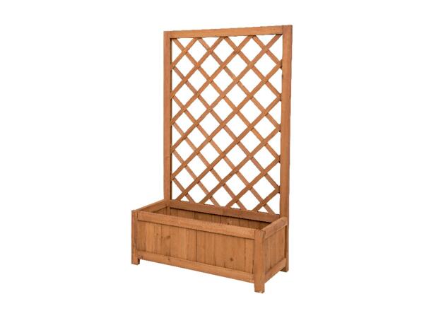 Planter with Trellis
