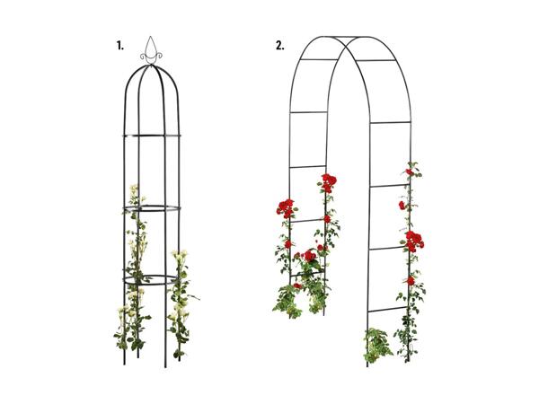 Tuteur colonne/arche à rosiers
