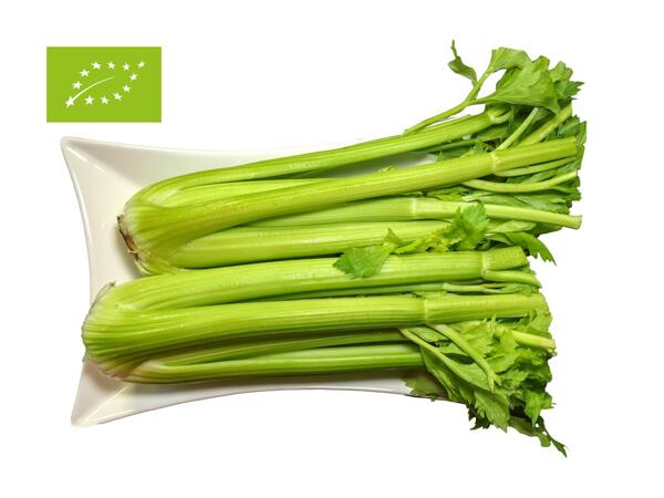 Bio Stangensellerie