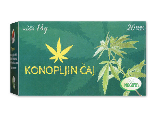 Mogota hamp te