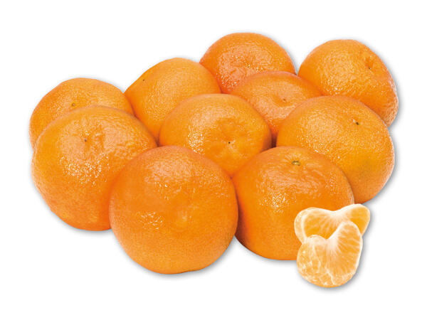 Clementiner