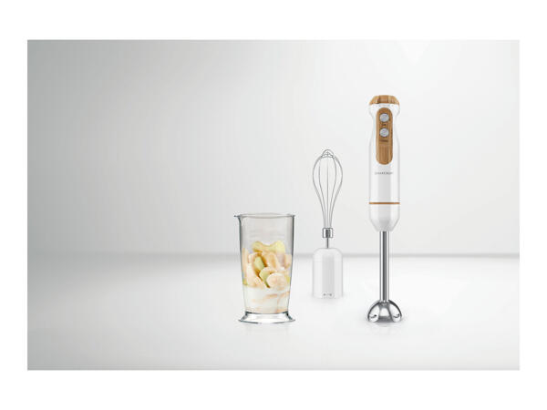 Silvercrest Hand Blender Set