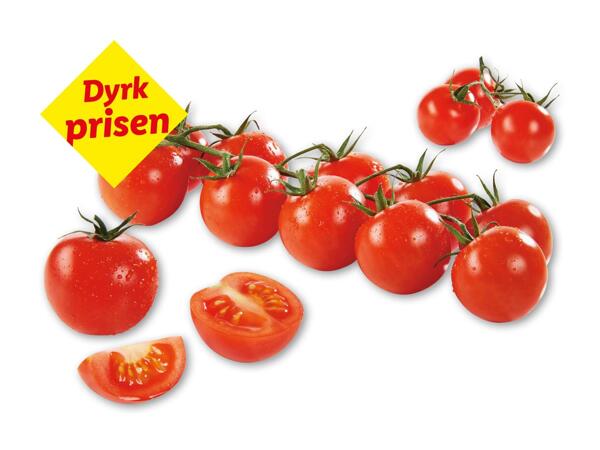Cherrytomater på stilk