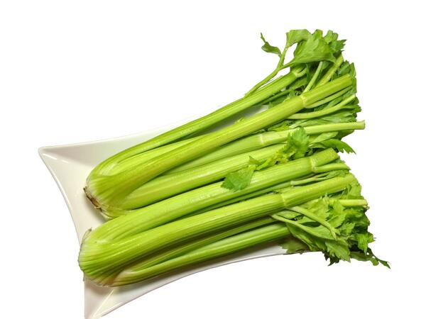 Bio Stangensellerie