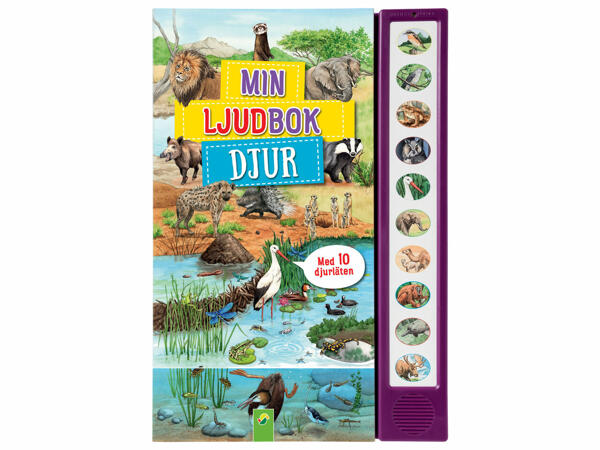 Ljudböcker