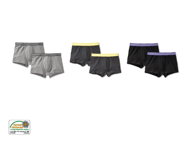 Boxer, 2er