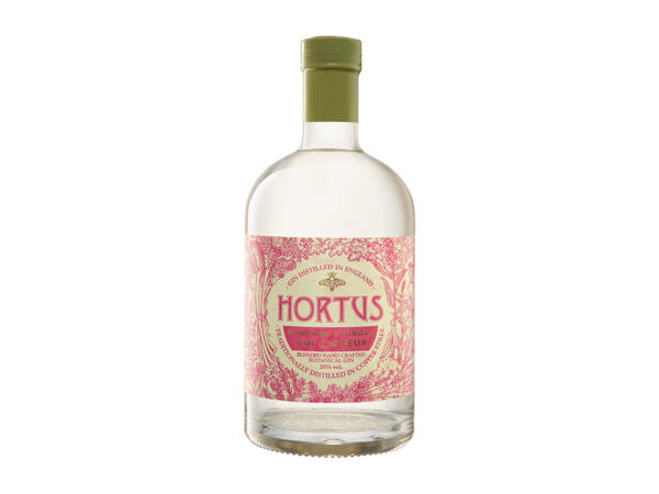 Liqueur Rhubarb and Ginger Gin