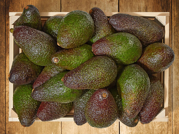 Avocado