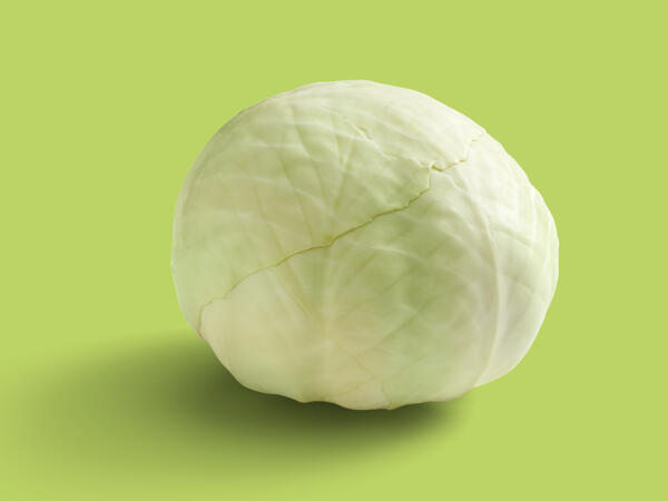 White Cabbage