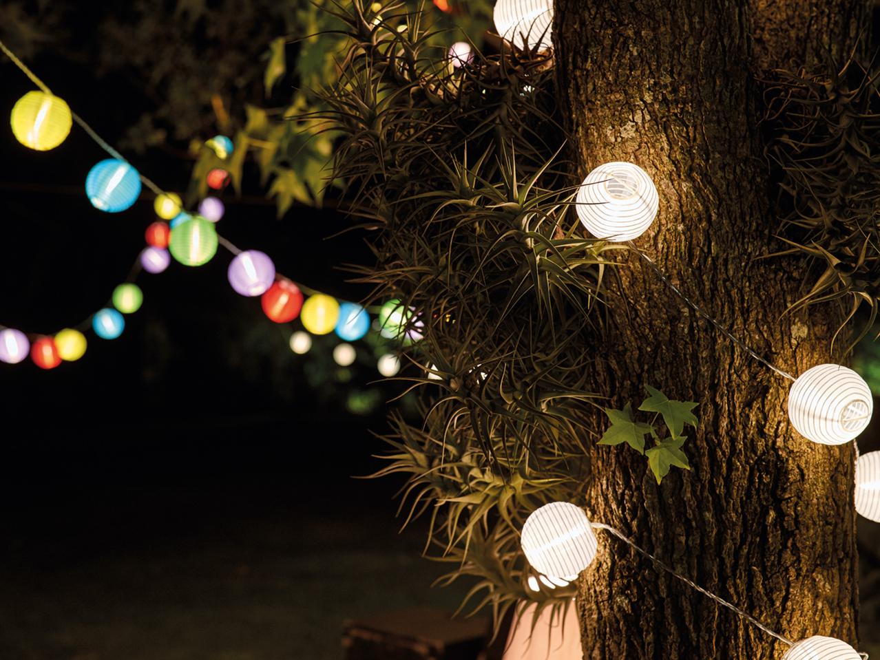 Melinera LED Summer Fairy Lights1