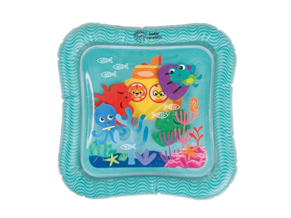 Baby Einstein Play Mat