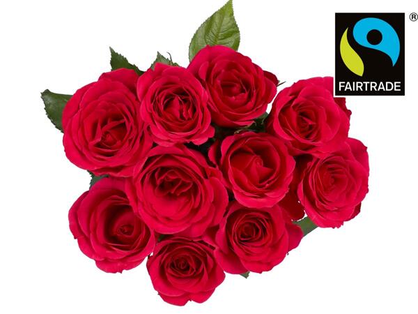 Fairtrade Rosen