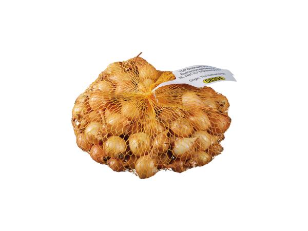 Seed Onion