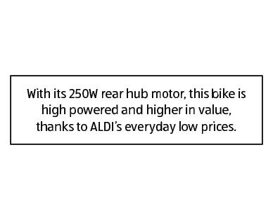 Folding Electric Bike
