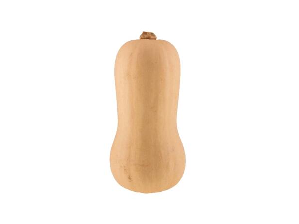 Butternut Squash