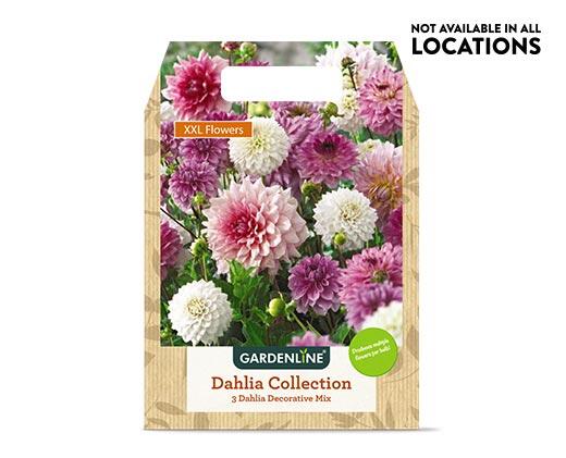 Gardenline 
 Mixed Spring Bulbs Assorted Varieties