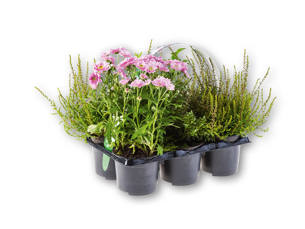 Outdoor-miks 6'er-bakke
