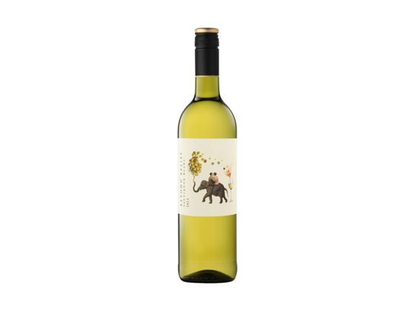 Sauvignon Blanc, Western Cape, South African