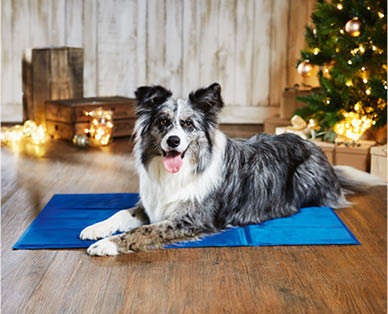 Dog Cooling Mat