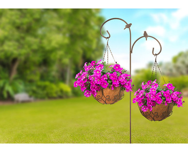 Gardenline Hanging Basket Assortment