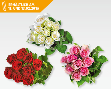 GARDENLINE(R) Fairtrade-Langstielrosen