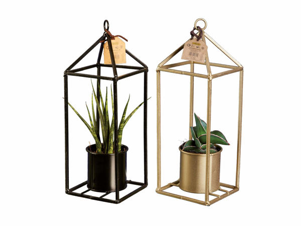 Easy Care Greenhouse Single
