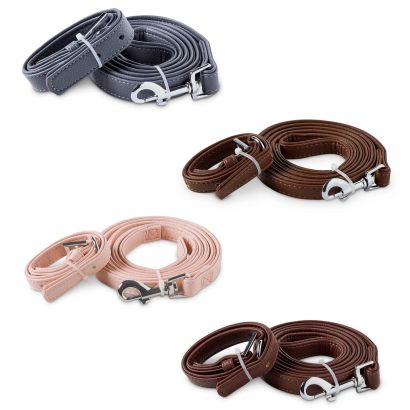Laisse et collier pour chiens