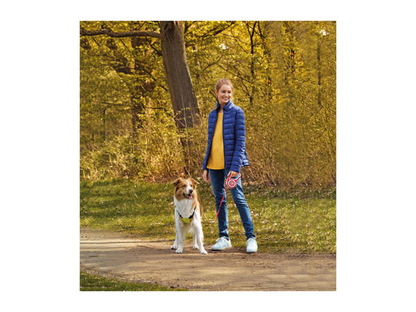 Zoofari Retractable Dog Lead