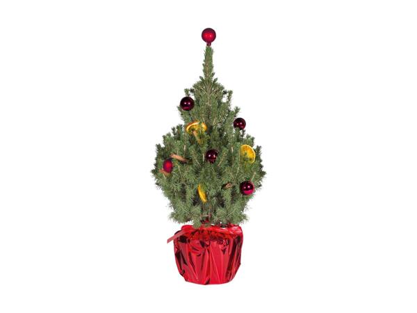 Sukkertop med julepynt