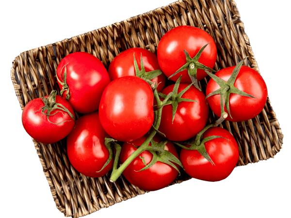 Strauchtomaten aus Österreich