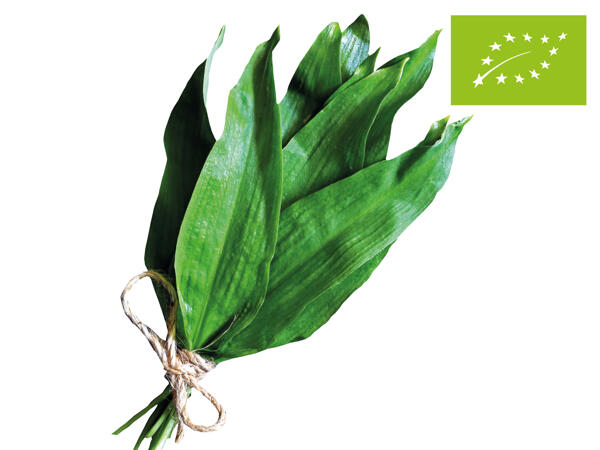 Bio Bärlauch