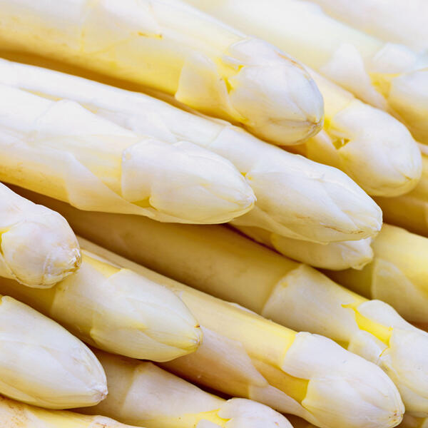 Spargel