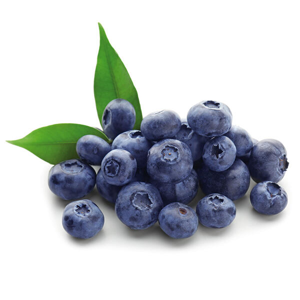 Premium Heidelbeeren
