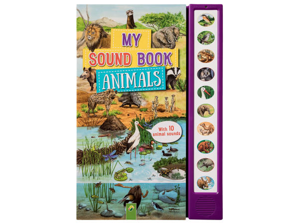 Kids' Sound Books
