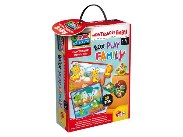 Montessori Educational Game