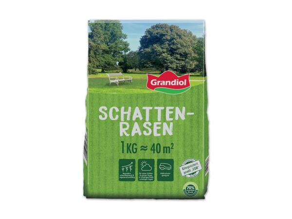 Schattenrasen
