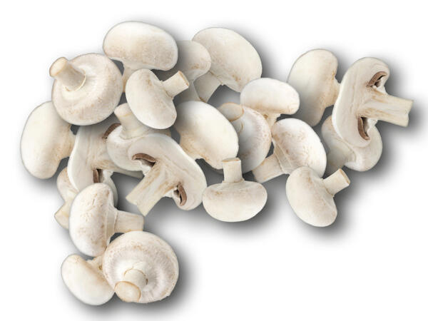 Champignons weiß
