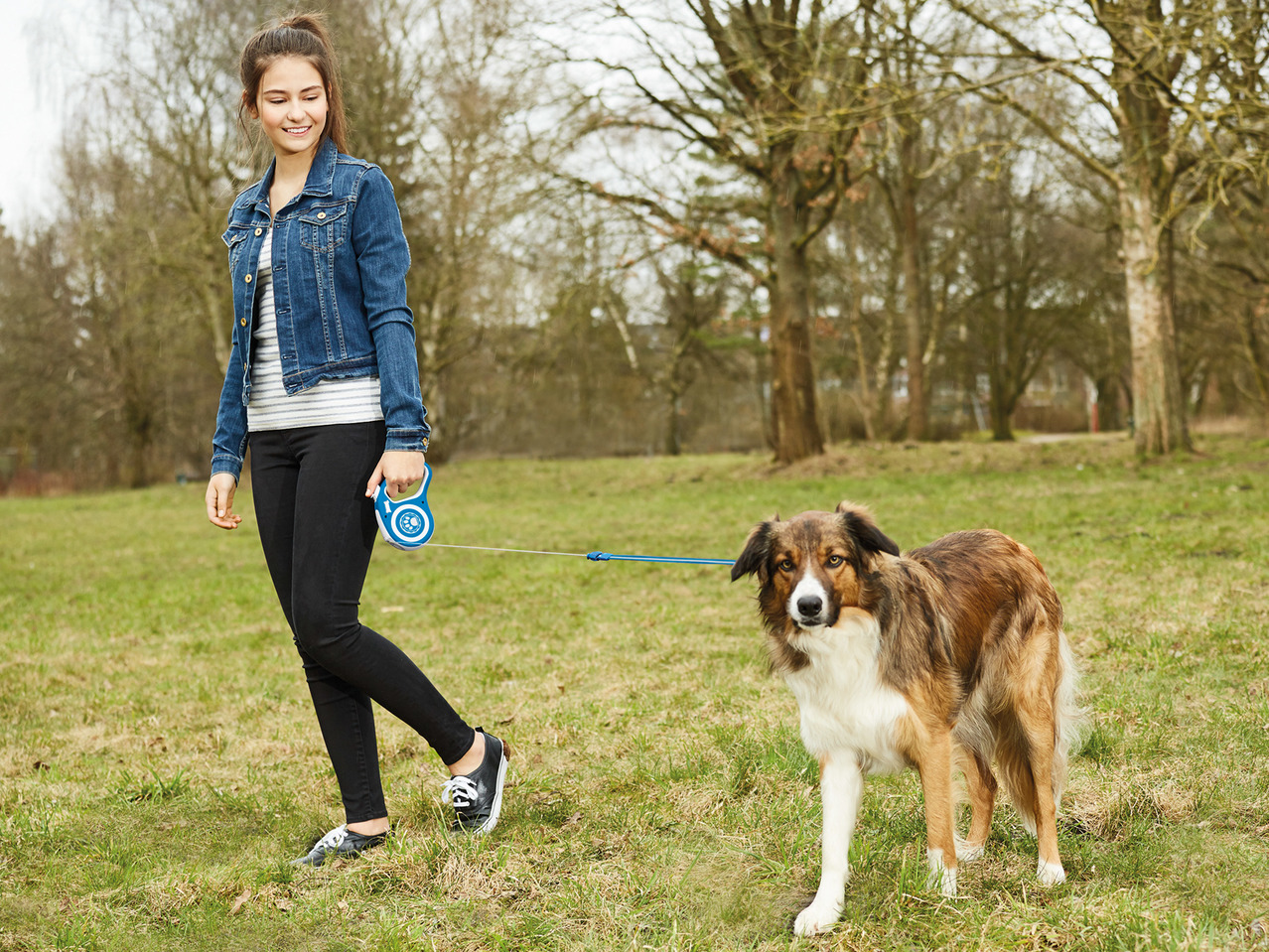 Zoofari Retractable Dog Lead1