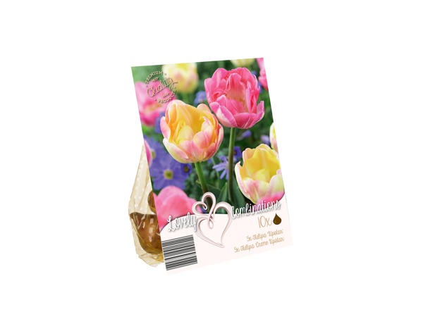 Colour Mix Bulbs1