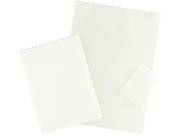 Laminator