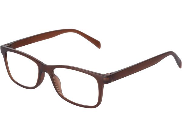 Reading Glasses