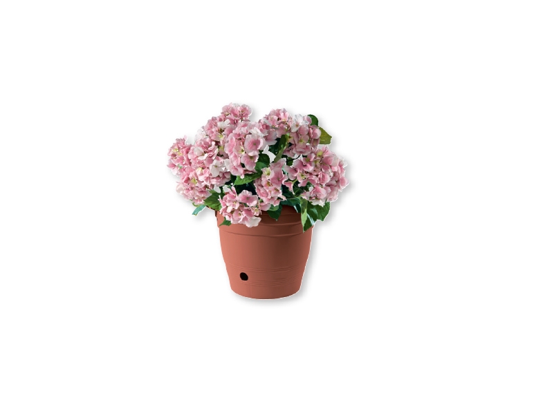 Bloempot