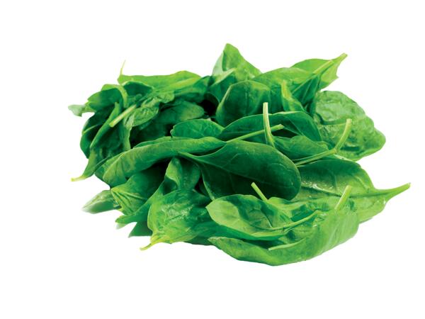 Organic Spinach Leaves