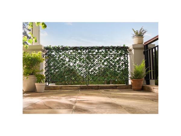 Privacy Screen