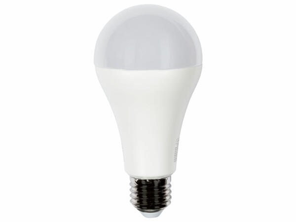 Livarno Lux LED-Lampa