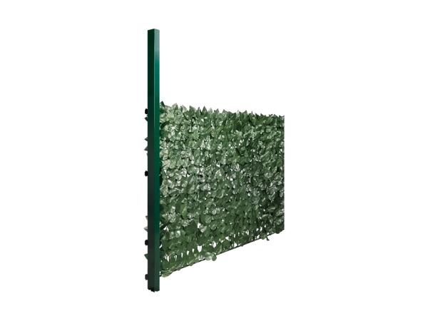 Garden Screening
