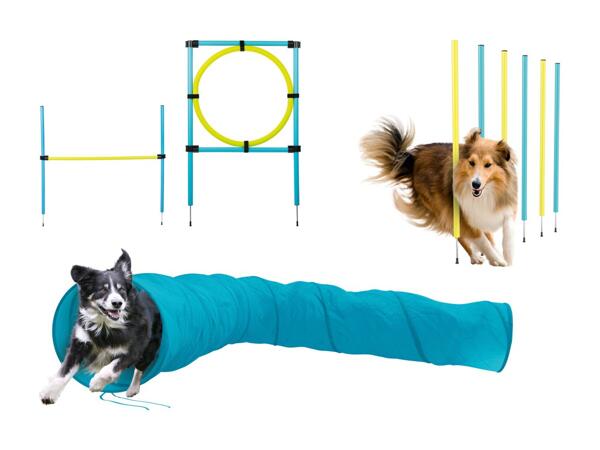 Accessoires d'agility pour chiens